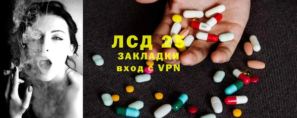 PSILOCYBIN Богородицк